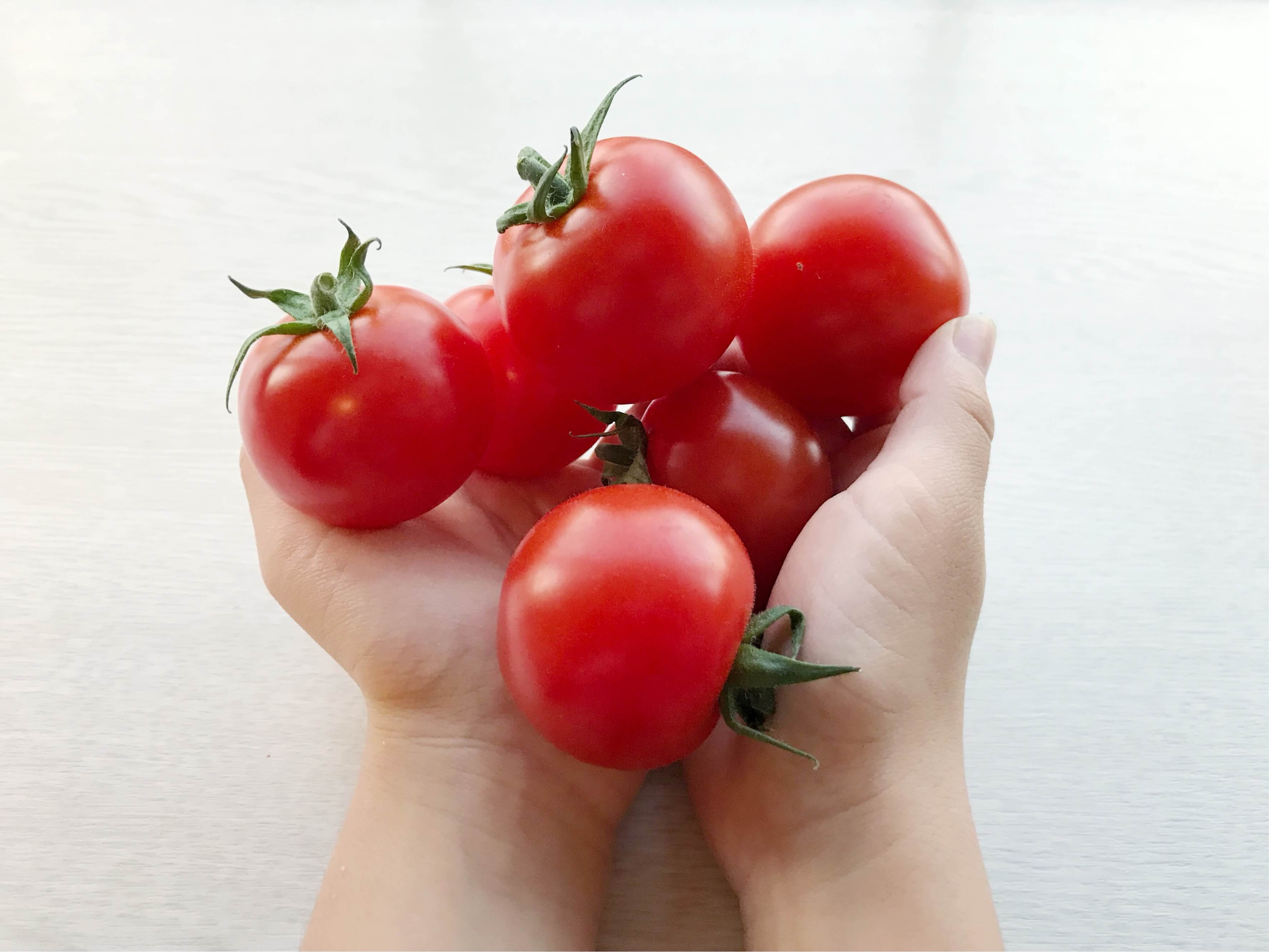 杉田農園トマト