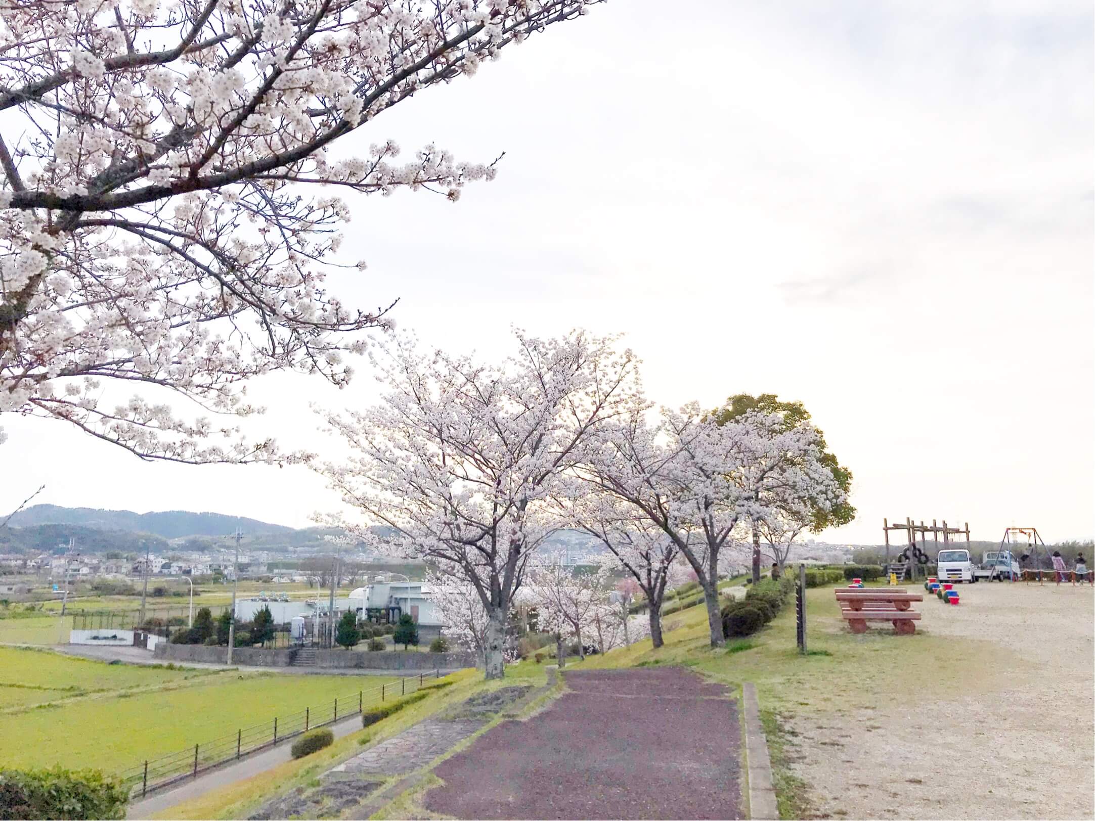 田辺木津川つつみ緑地