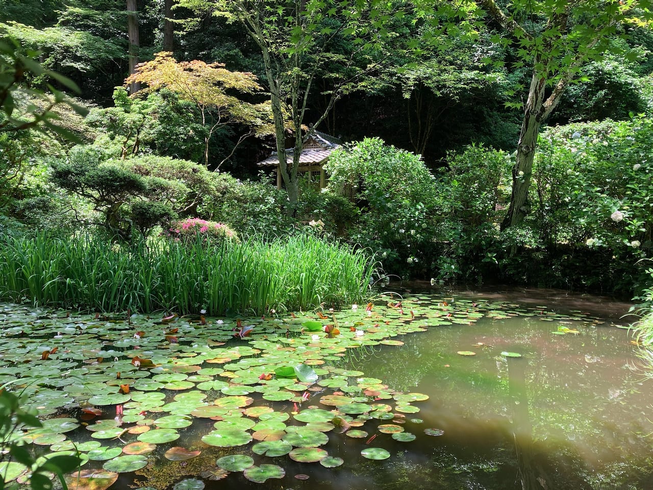 岩船寺