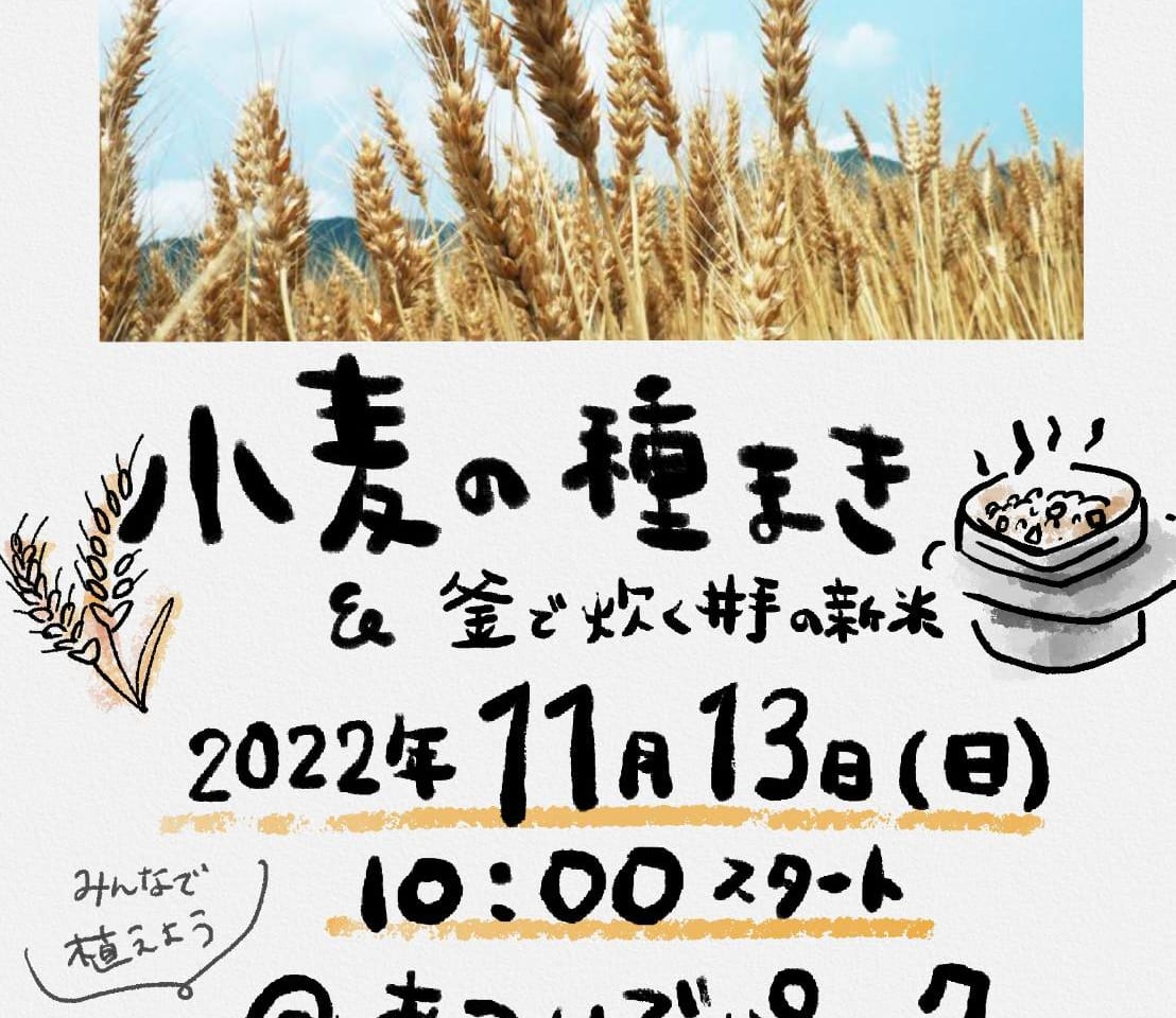 小麦のたねまきポスター