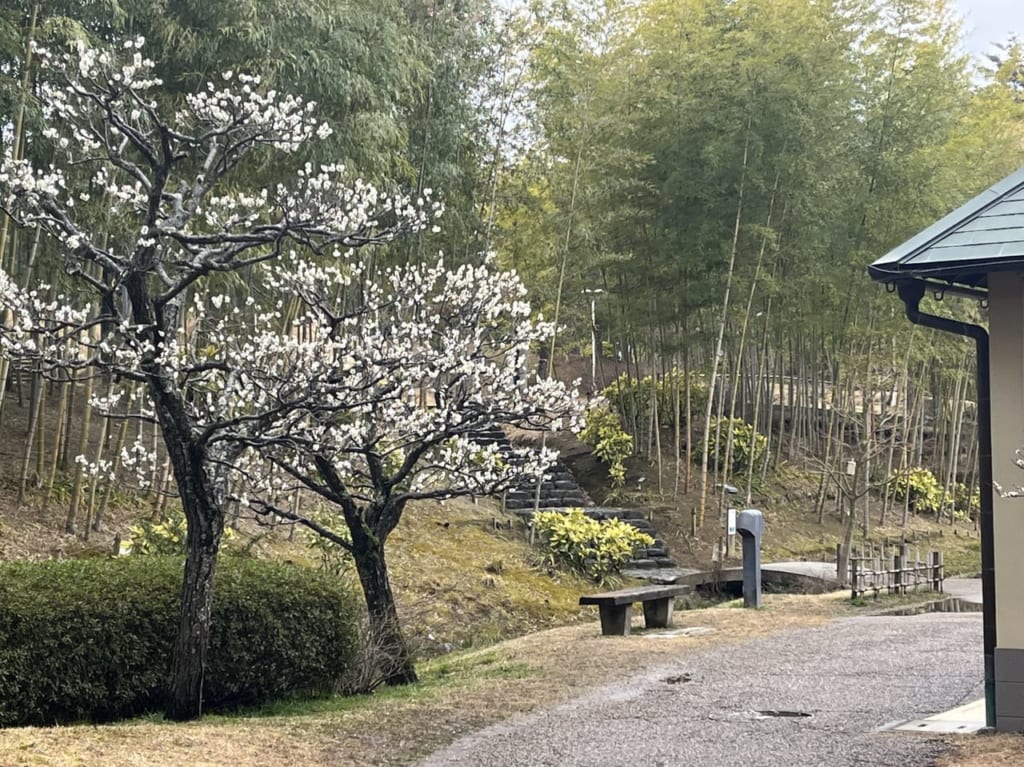 けいはんな記念公園