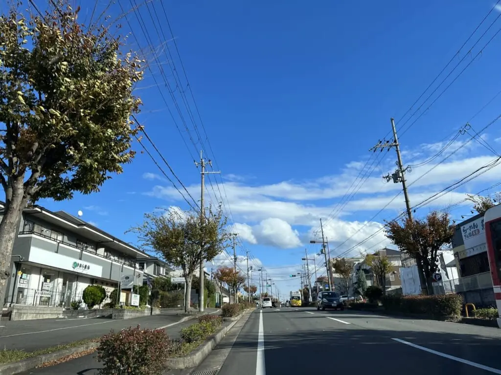 松井山手