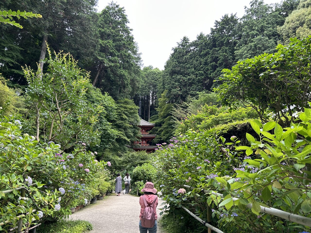 岩船寺の入り口