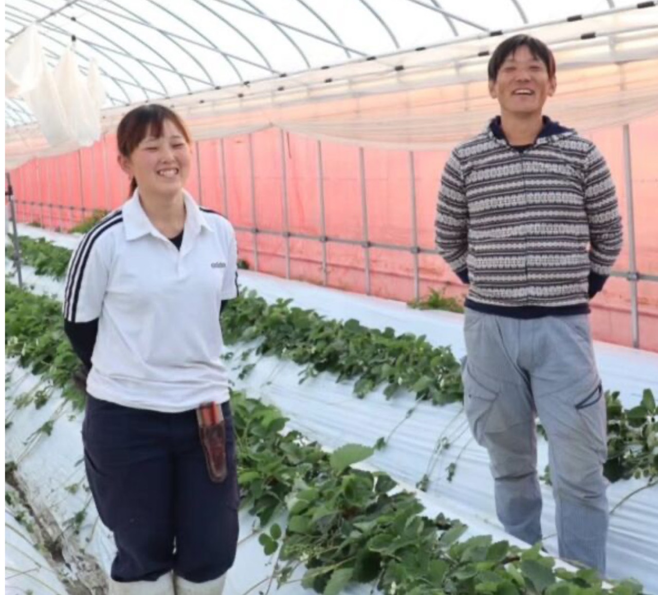 生産者