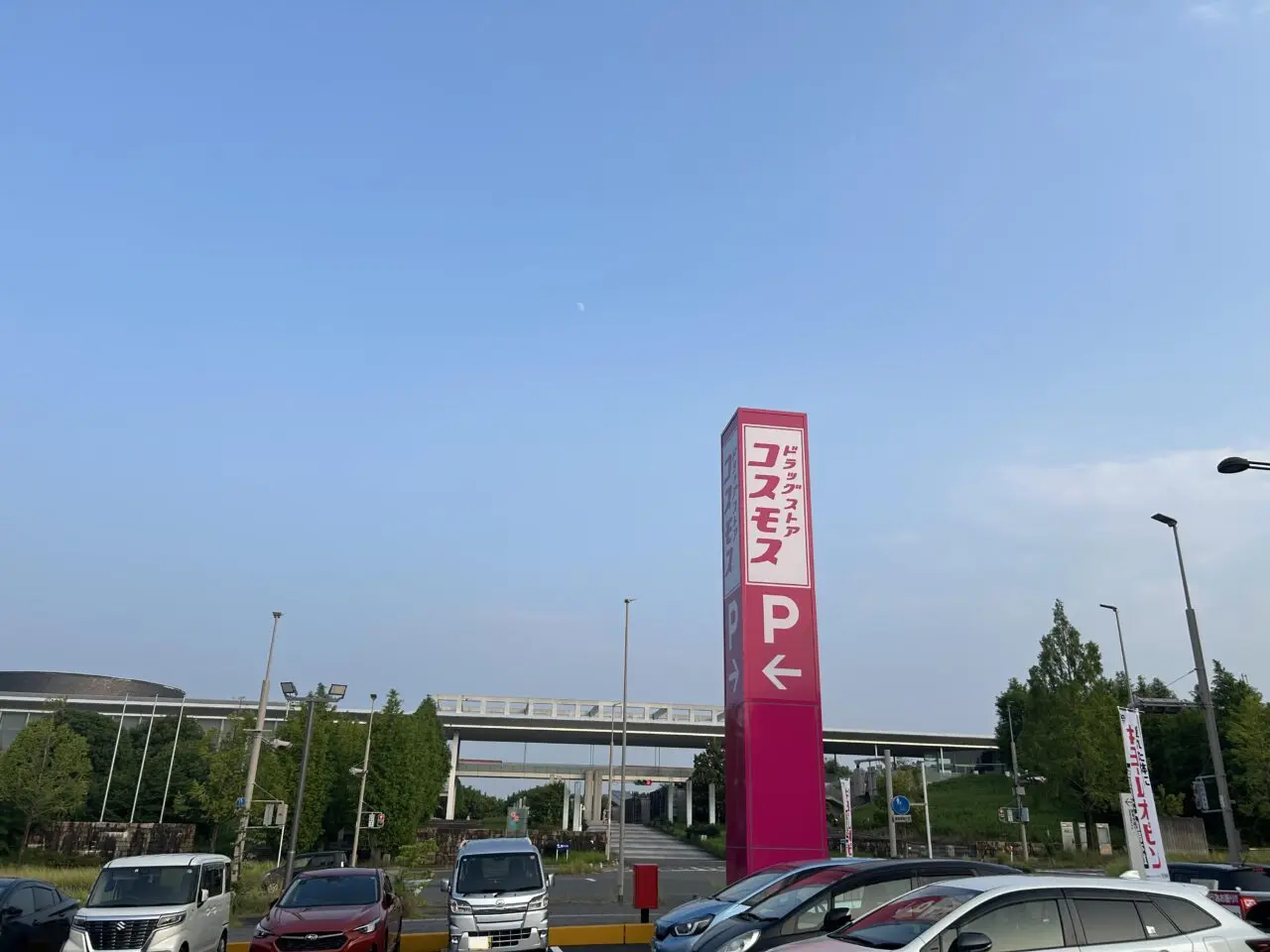 コスモス