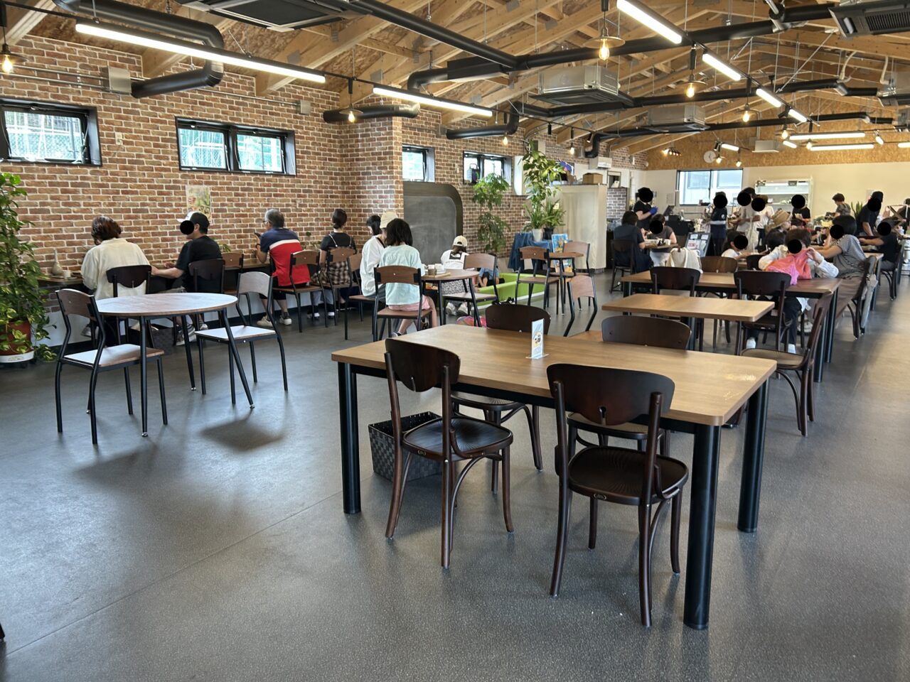 タナクロの様子