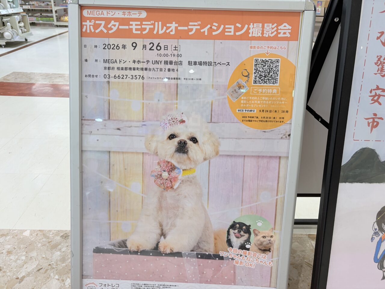 ポスター
