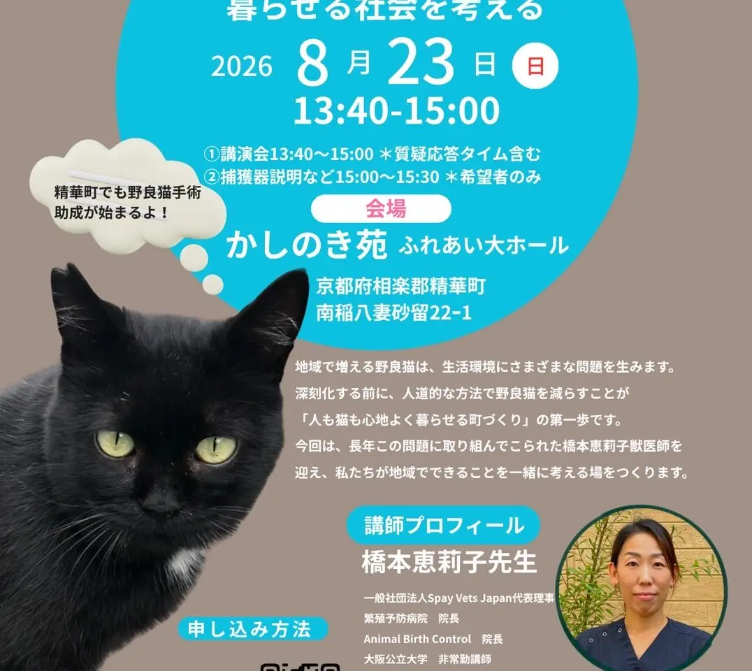 ちらし